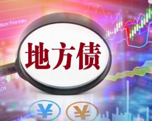 定融市场未来趋势：深度探讨“定融生命力”与可持续发展路径