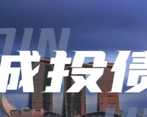 中国城投公司债务的本质深度剖析