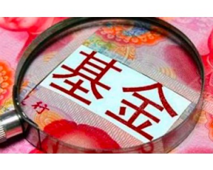 2024带你了解地方债基金【专业解读】