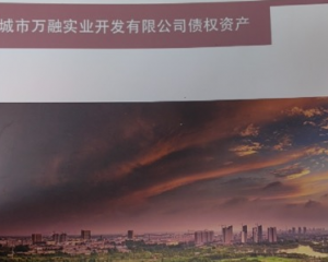 2024邹城市万融实业开发有限公司债权资产定融产品安全正常兑付与风险违约解读