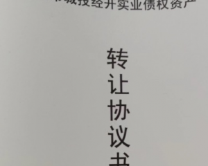 2024河南周口城投经开实业债权资产定融正常兑付与风险违约解读