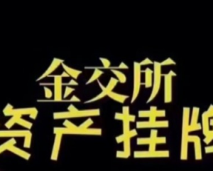 带你了解 金交所为什么不让城投 民营企业定融产品项目备案