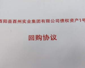 2024酉阳县酉州实业集团有限公司债权1号定融产品风险违约解读