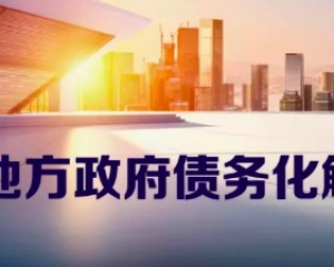 2024专业解读地方债务化解都有哪种方式