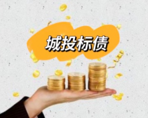 带你了解 标准城投债 都被哪些人哪些机构买走了