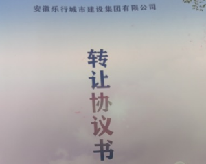 2024安徽乐行城市建设集团有限公司定融产品安全兑付与风险违约解读
