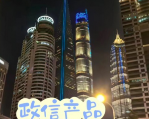领跑市场新趋势：深度解读定融产品的投资魅力与策略