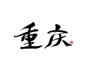 重庆酉阳、潼南区域非标定融产品：安全性深度剖析与投资建议