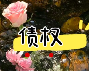 城投债疑虑下的投资转向：为何多数投资者选择银行理财及其考量