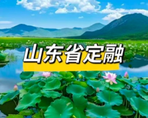 山东济宁、泰安、威海、日照、临沂、德州、聊城、滨州、菏泽定融产品发行与现状