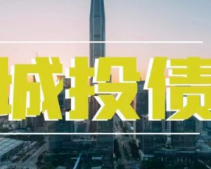 【专业解读】城投公司是做什么的