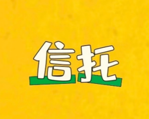 江苏泰州政信信托与政信定融的安全性深度解析